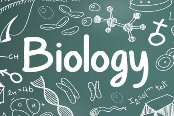 Detail Gambar Tentang Biologi Nomer 16