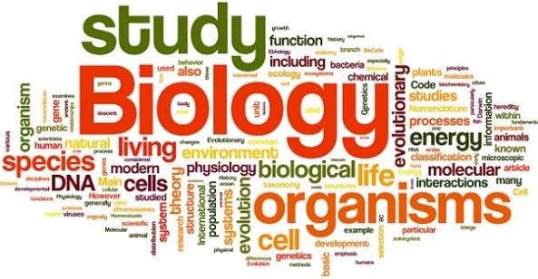 Detail Gambar Tentang Biologi Nomer 25