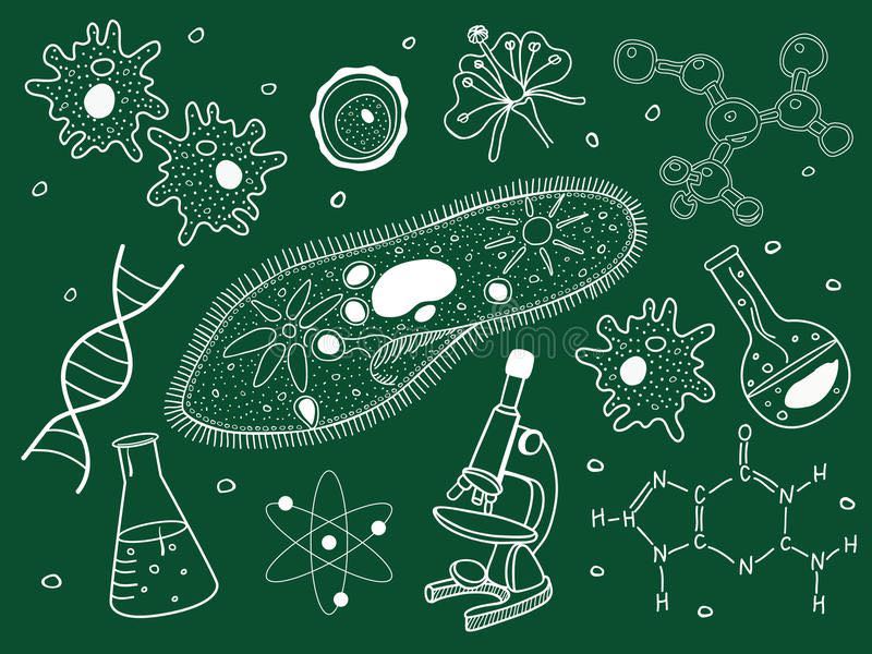 Detail Gambar Tentang Biologi Nomer 4