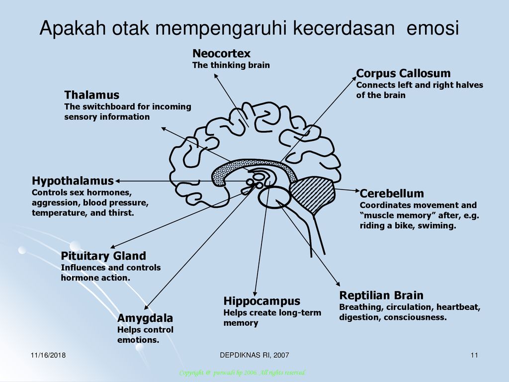 Detail Gambar Tentang Kecerdasan Emosional Nomer 38