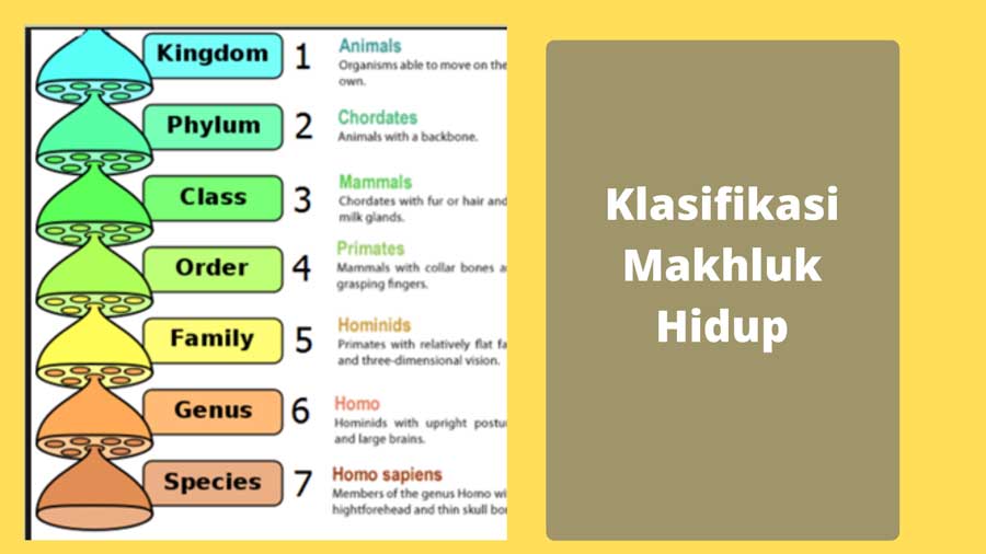 Gambar Tentang Klasifikasi Makhluk Hidup - KibrisPDR