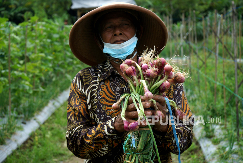 Detail Gambar Tentang Pertanian Nomer 42