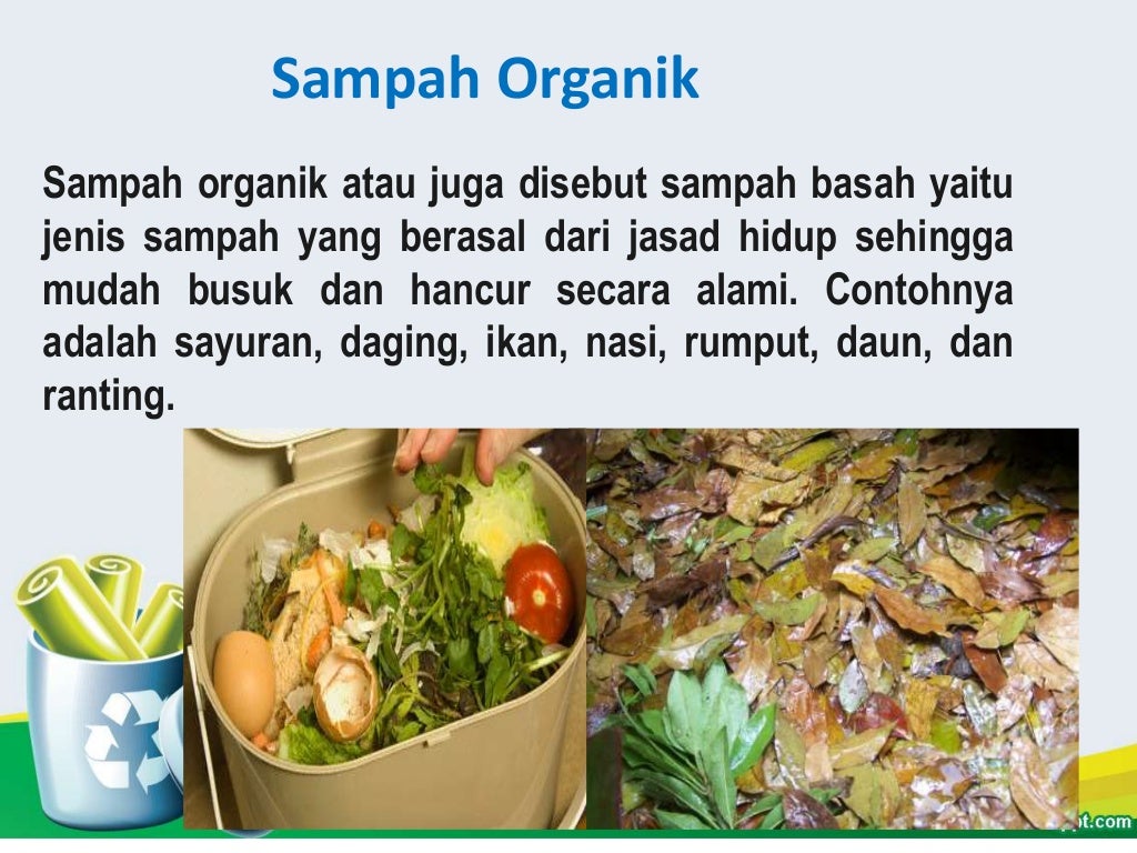 Detail Gambar Tentang Sampah Basah Nomer 33