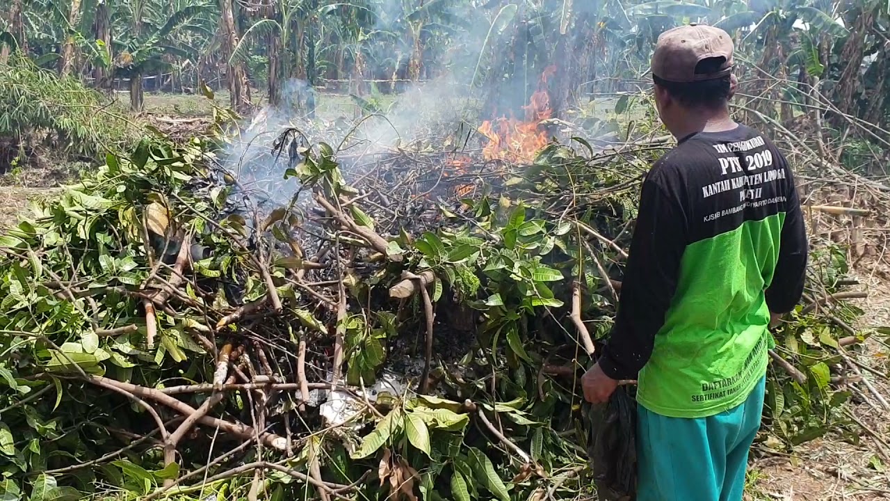 Detail Gambar Tentang Sampah Basah Nomer 41