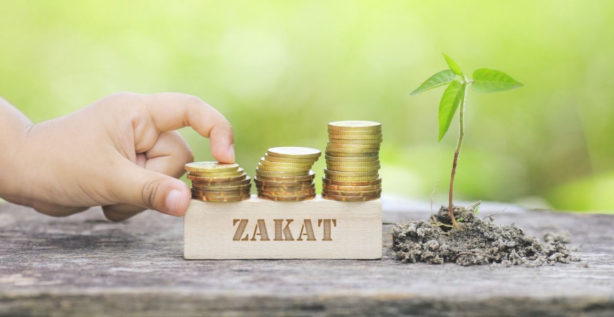 Detail Gambar Tentang Zakat Nomer 6