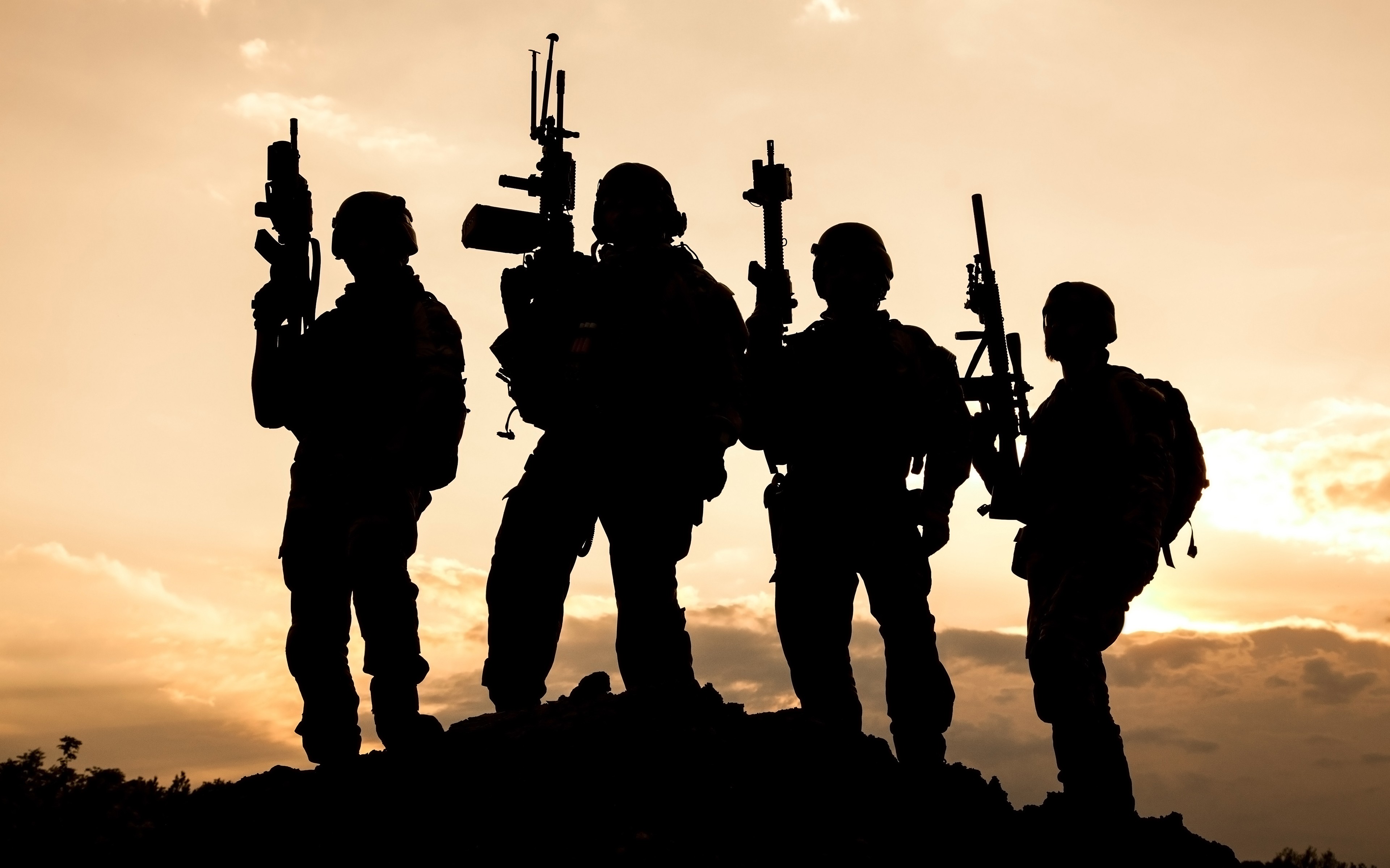 Detail Gambar Tentara Bayangan Nomer 4