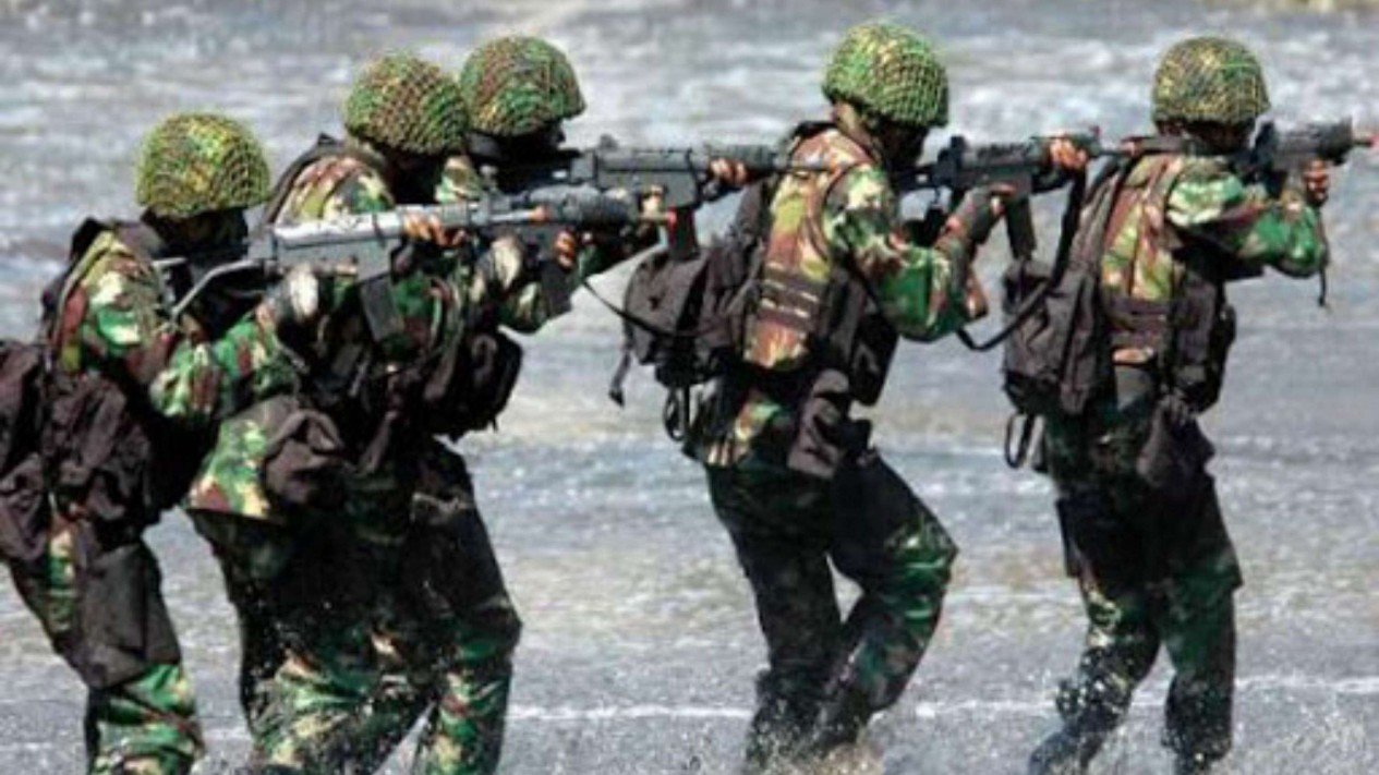 Detail Gambar Tentara Nasional Indonesia Nomer 18