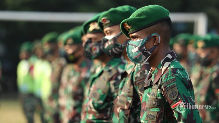 Detail Gambar Tentara Nasional Indonesia Nomer 31