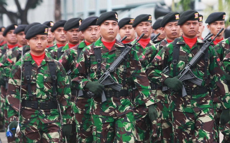 Detail Gambar Tentara Nasional Indonesia Nomer 5