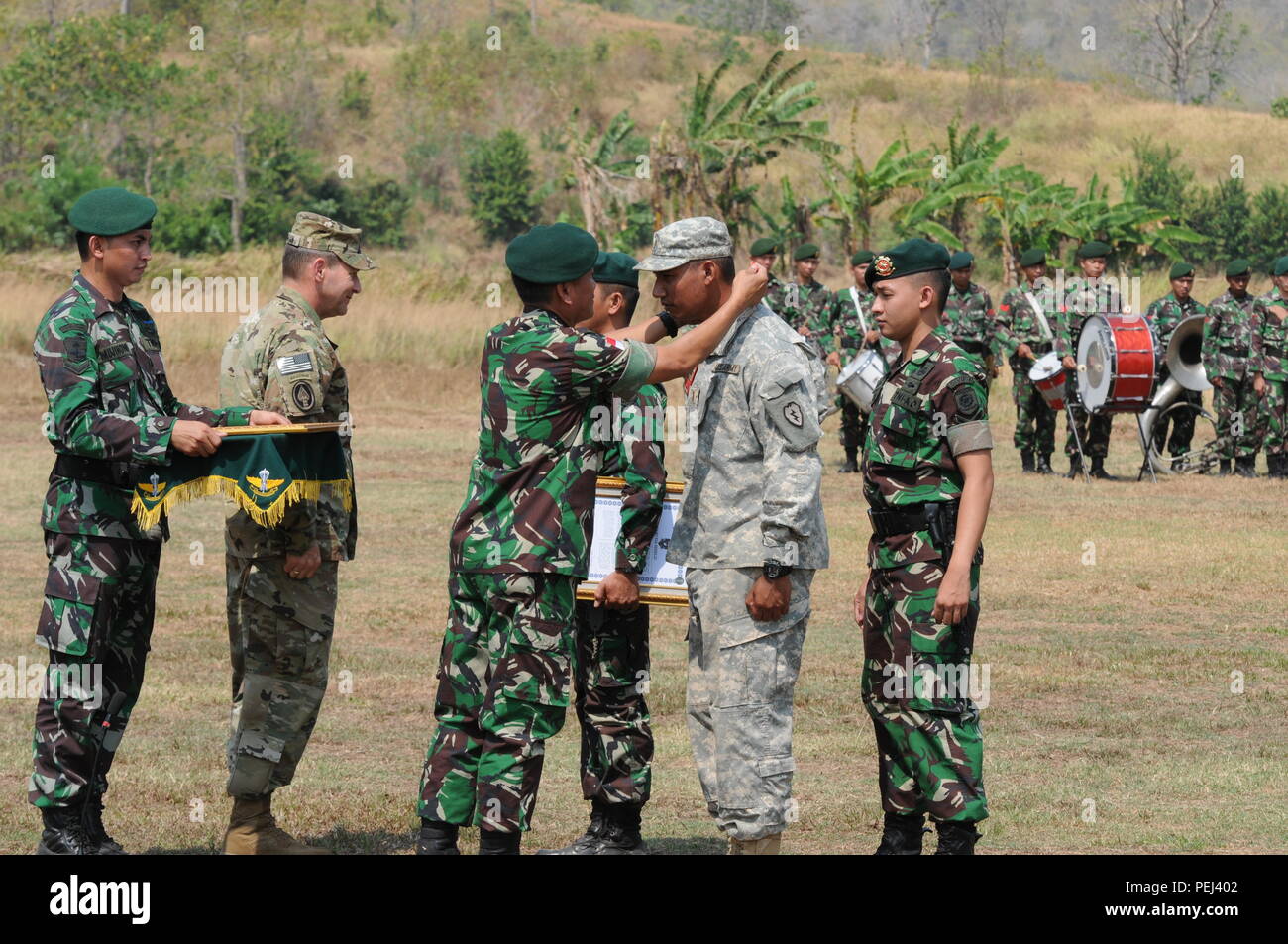 Detail Gambar Tentara Nasional Indonesia Nomer 6