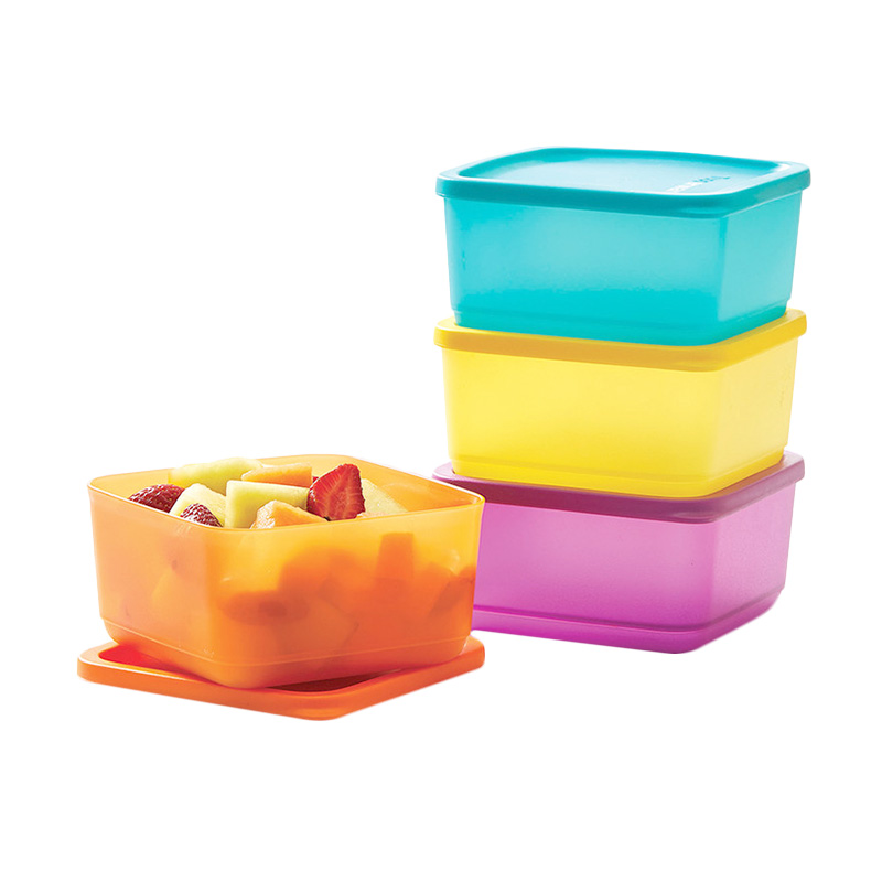 Detail Gambar Tepak Makan Tupperware Nomer 23