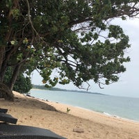 Detail Gambar Tepi Pantai Nomer 24