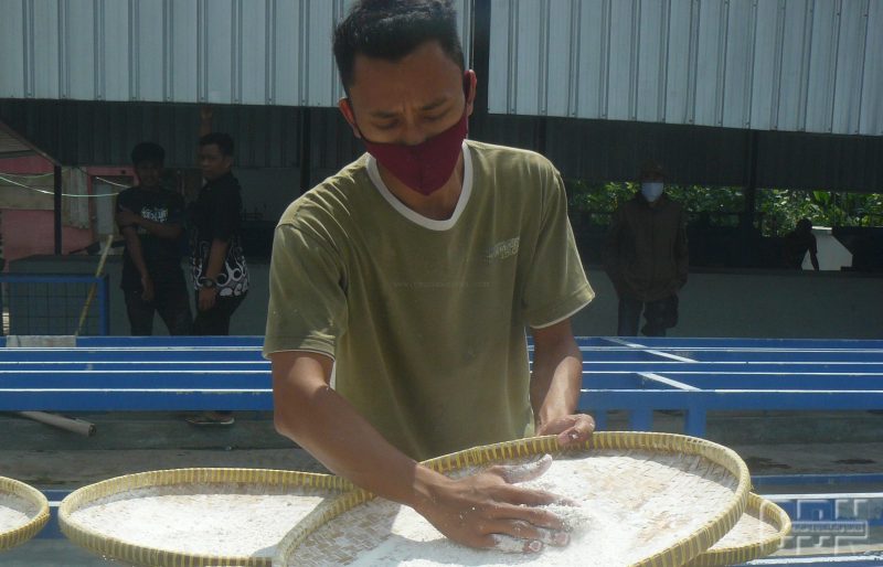 Detail Gambar Tepung Singkong Siap Digunakan Nomer 37