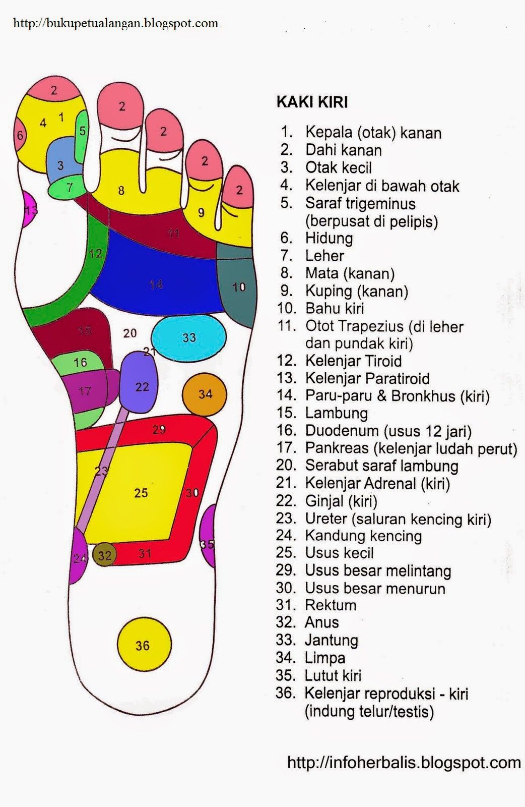 Detail Gambar Terapi Acupressure Pada Ibu Post Partum Nomer 4