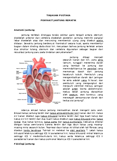 Detail Gambar Terapi Jantung Reumatik Nomer 29