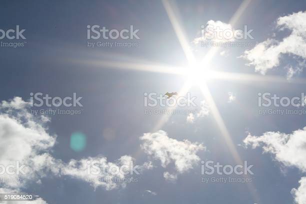 Detail Gambar Terik Matahari Nomer 54
