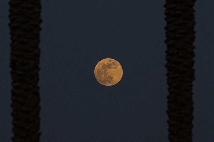 Detail Gambar Terjadinya Gerhana Bulan Nomer 46