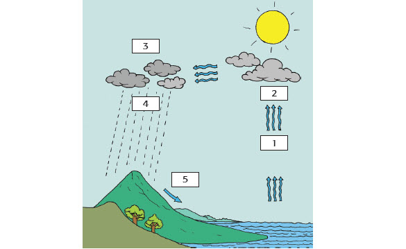 Detail Gambar Terjadinya Hujan Nomer 15