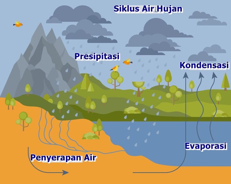 Detail Gambar Terjadinya Hujan Nomer 21