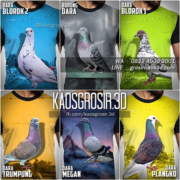 Detail Desain Baju Burung Merpati Nomer 36