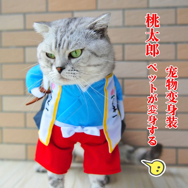 Detail Desain Baju Kucing Nomer 28