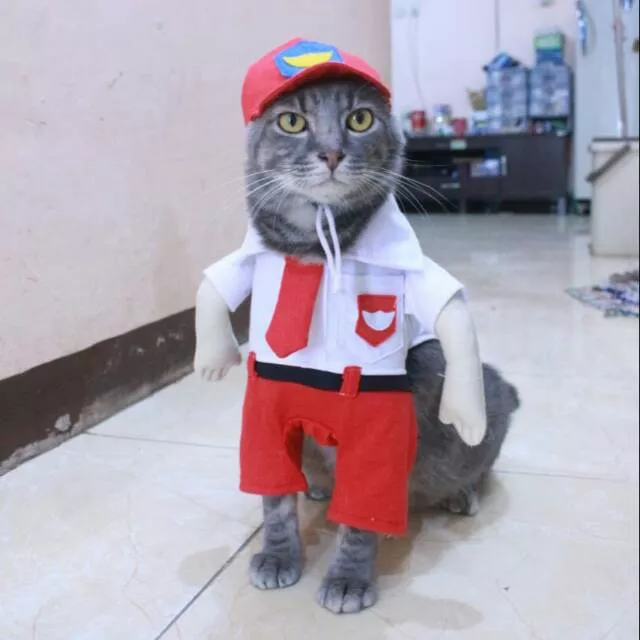 Detail Desain Baju Kucing Nomer 50