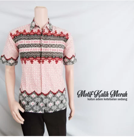 Detail Desain Baju Sinoman Nomer 51