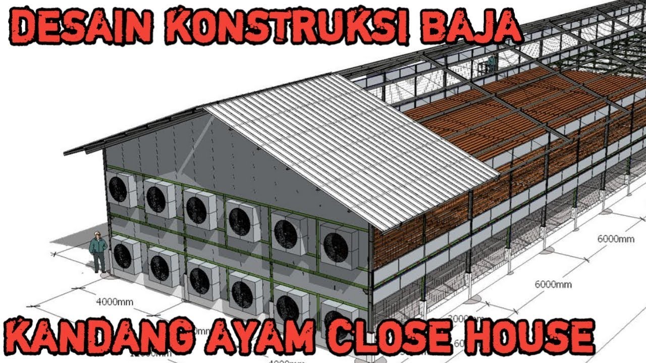 Detail Desain Bangunan Kandang Ayam Petelur Nomer 32