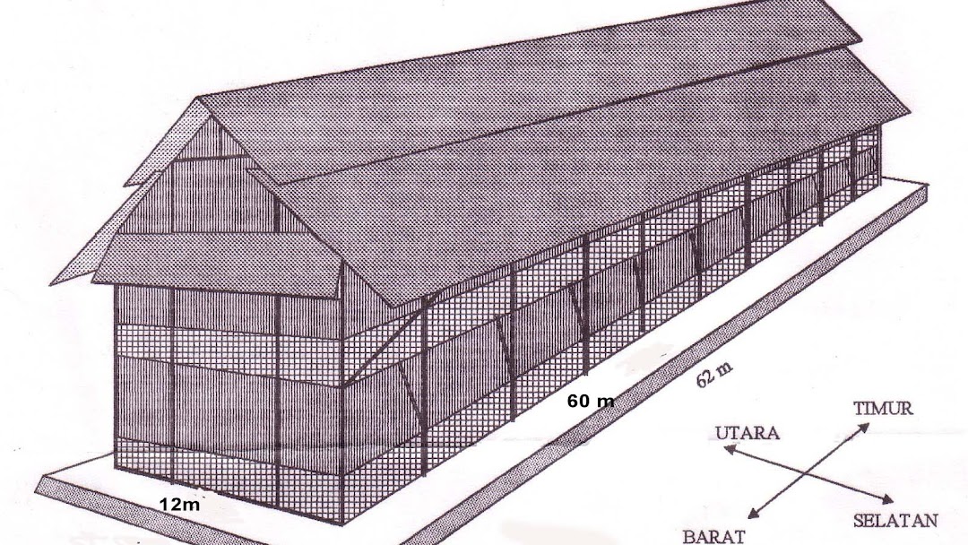 Detail Desain Bangunan Kandang Ayam Petelur Nomer 34