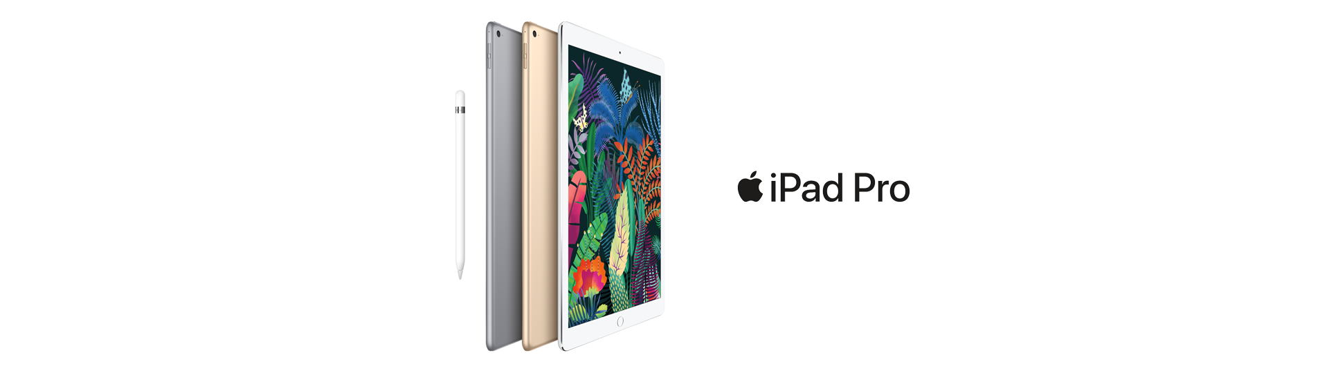 Detail Ipad Banner Nomer 10