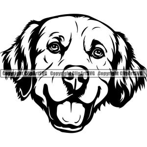 Detail Kleine Retriever Nomer 4