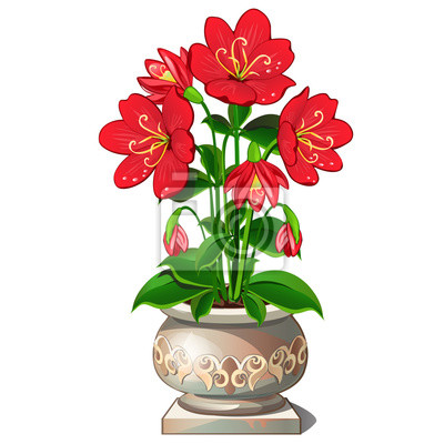 Detail Rote Blumen Nomer 14