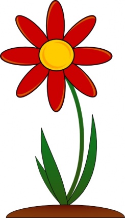 Detail Rote Blumen Nomer 2