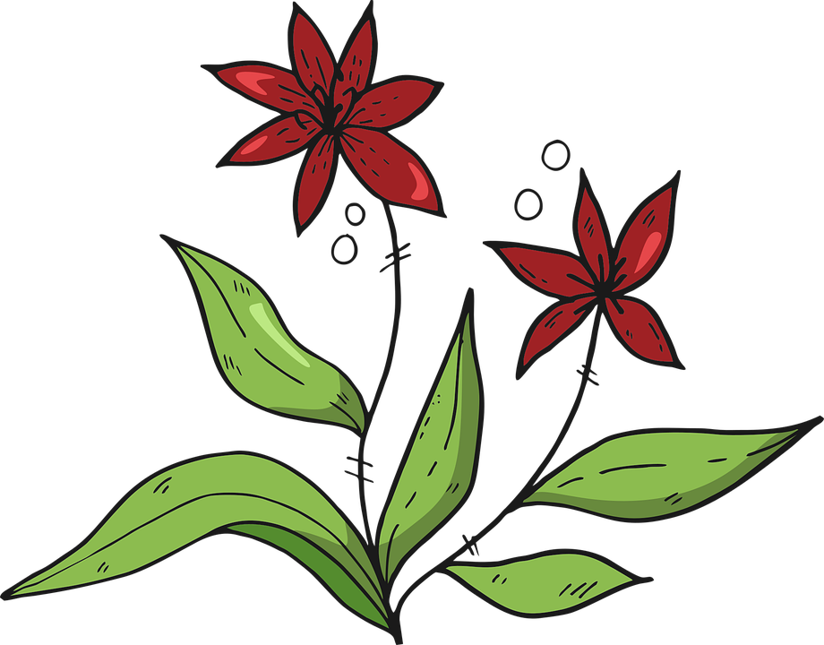 Detail Rote Blumen Nomer 21
