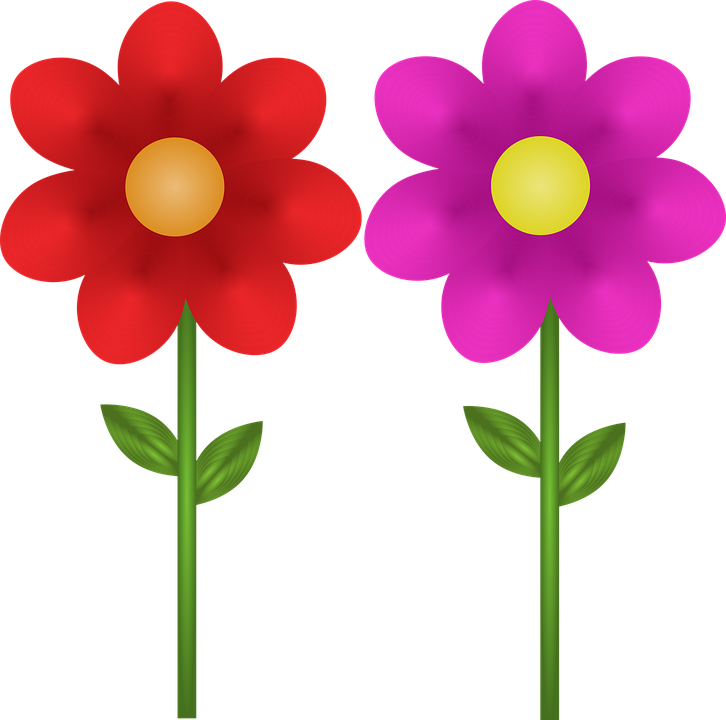 Detail Rote Blumen Nomer 6