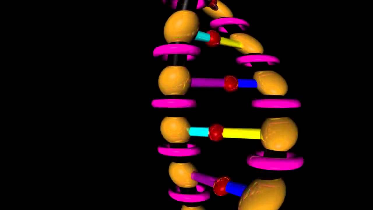 Detail Strand Model Nomer 22