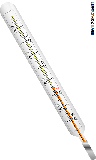 Detail Gambar Termometer Air Raksa Nomer 36