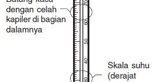 Detail Gambar Termometer Dan Bagian Bagiannya Nomer 17