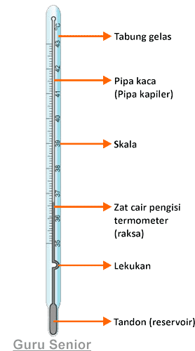 Detail Gambar Termometer Dan Bagian Bagiannya Nomer 4