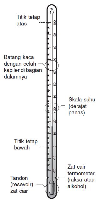 Detail Gambar Termometer Dan Bagian Bagiannya Nomer 9