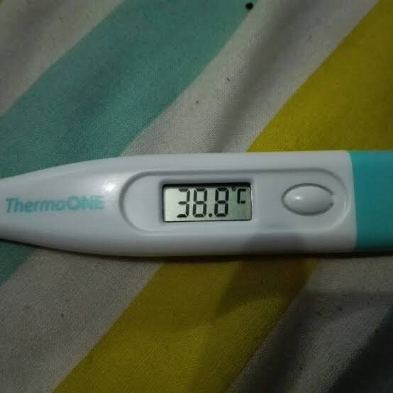 Detail Gambar Termometer Demam Nomer 2