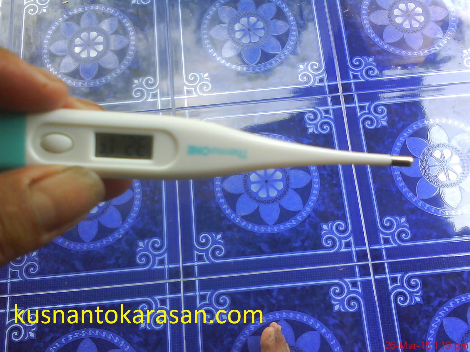 Detail Gambar Termometer Demam Nomer 40