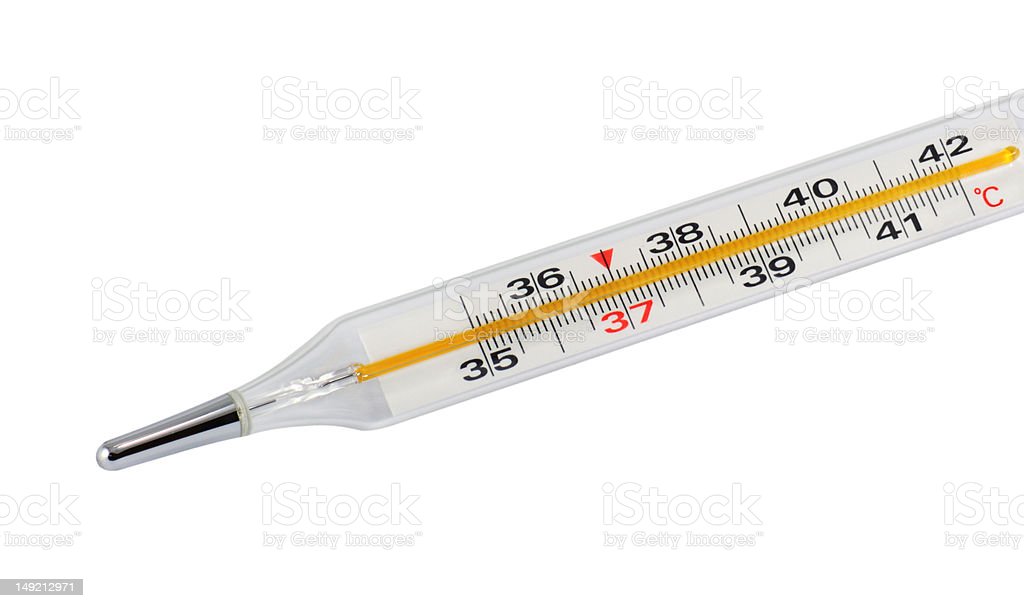 Detail Gambar Termometer Klinis Nomer 2