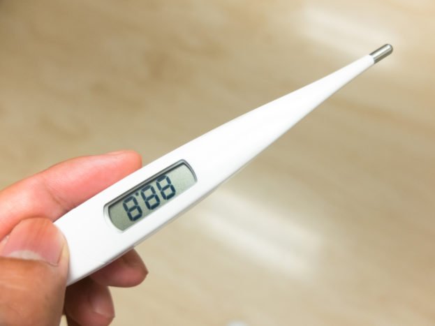 Detail Gambar Termometer Suhu Tinggi Nomer 11