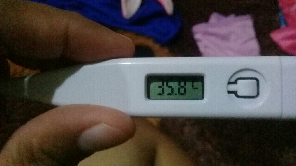 Detail Gambar Termometer Suhu Tinggi Nomer 20