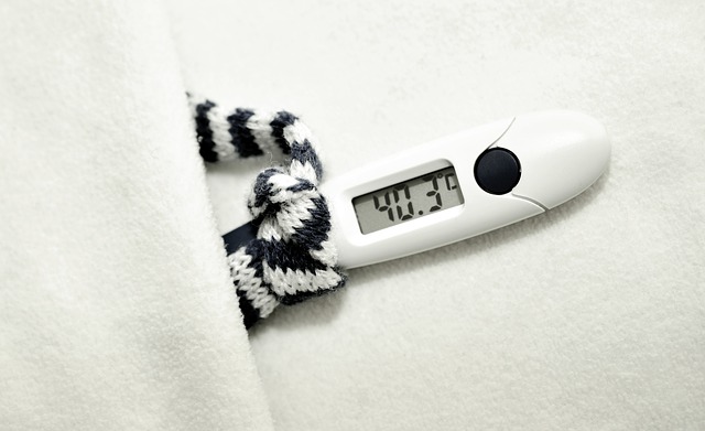 Detail Gambar Termometer Suhu Tinggi Nomer 25