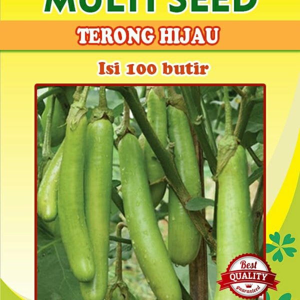 Detail Gambar Terong Hijau Nomer 23