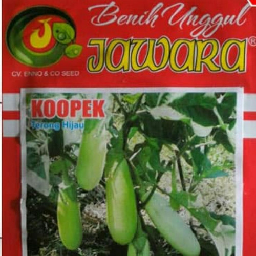 Detail Gambar Terong Hijau Nomer 36