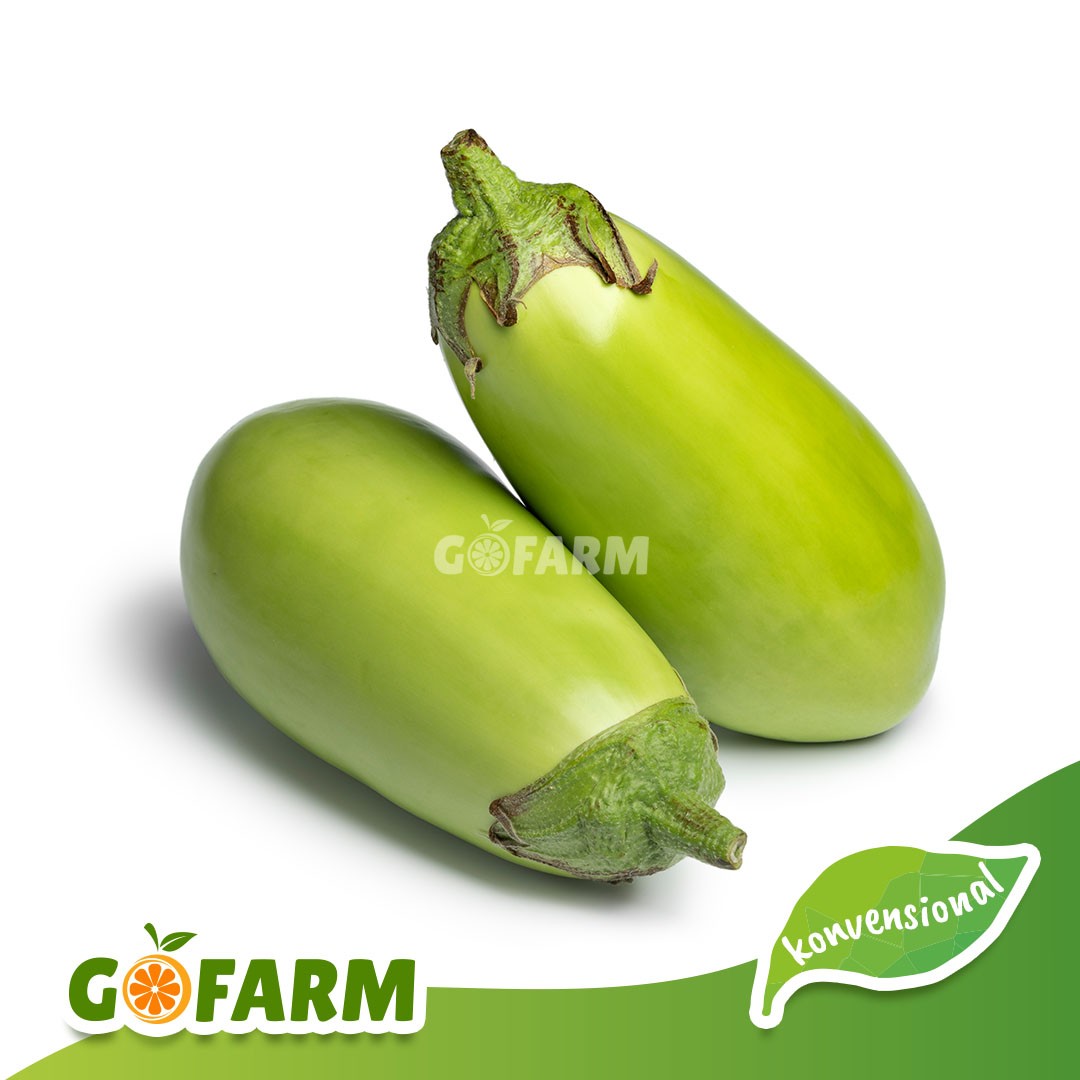 Detail Gambar Terong Hijau Nomer 7