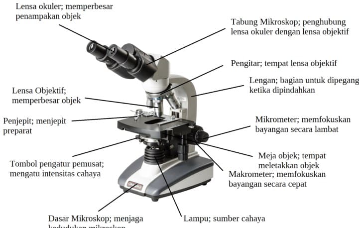 Detail Gambar Teropong Pantul Gambar Teropong Pantul Dan Nama Namanya Nomer 39